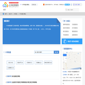 十字街道办事处政务服务网