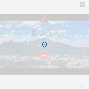 泰山集团股份有限公司