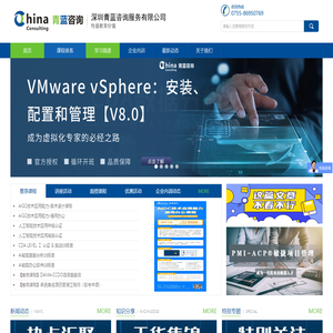 深圳青蓝咨询服务有限公司