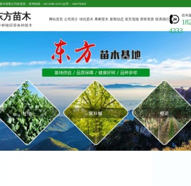 山东泰安绿化苗,果树苗种植批发基地