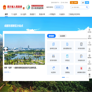 东部新区政务服务网