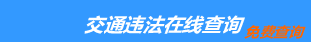 （手机版）合肥交通违章查询