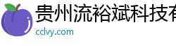 贵州流裕斌科技有限公司