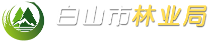 白山市林业局