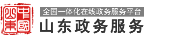 山东政务服务网 临沂市•沂南县