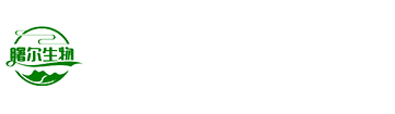 钛硅分子筛