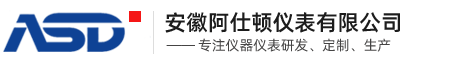 安徽阿仕顿仪表有限公司