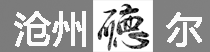 沧州市德尔信息技术有限公司