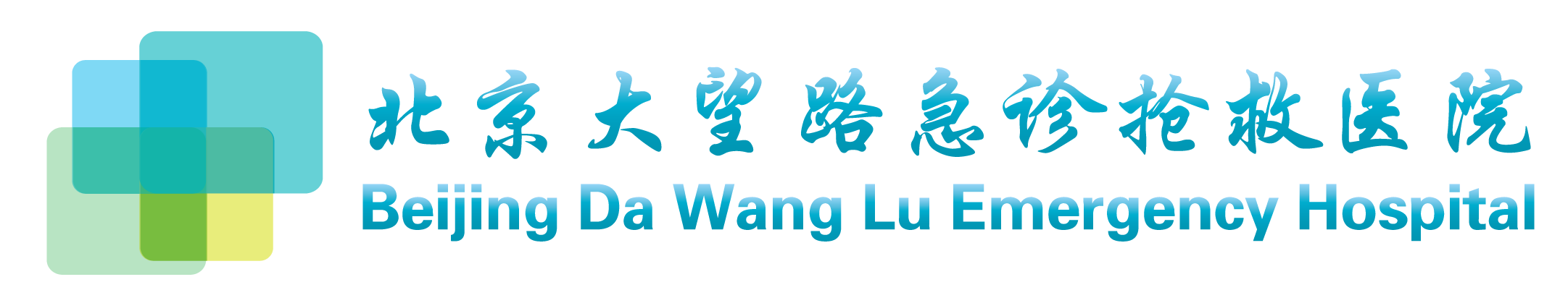 北京大望路急诊抢救医院