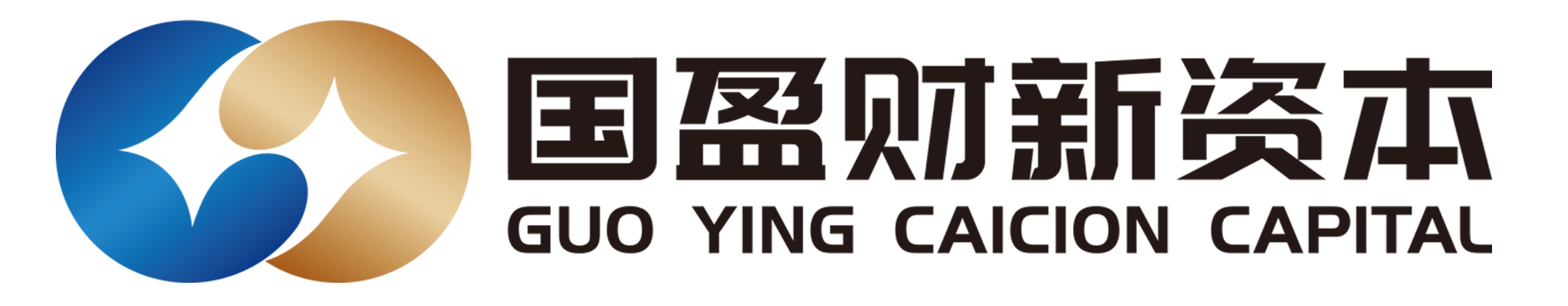 山东国盈财新资本控股有限公司