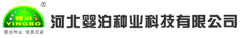 河北婴泊种业科技有限公司