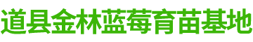 道县柑桔苗销售