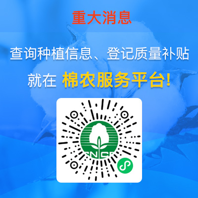 爱棉网，i棉网