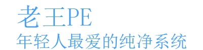 老王PE