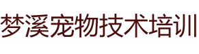 哈尔滨宠物美容培训【梦溪宠物美容师培训学校】