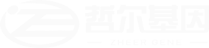 亲子鉴定