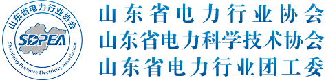 山东省电力行业协会，山东省电力科学技术协会，山东省电力行业团工委