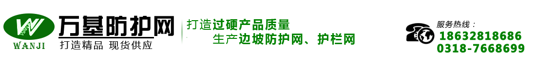 主动边坡防护网生产厂家，高速边坡防护网，sns边坡防护网厂家，边坡绿化防护网，边坡防护网配件