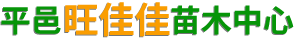 山楂苗，山楂树苗，旺佳佳山楂苗木基地