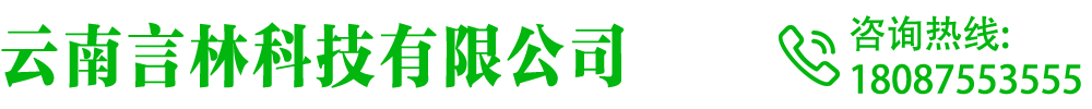 云南昆明言林科技有限公司