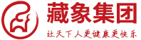 _藏象集团_中医养生项目-养生馆加盟-大健康养生全产业链生态系统服务平台