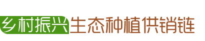 乡村振兴生态种植供销链