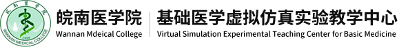 皖南医学院基础医学虚拟仿真实验教学中心